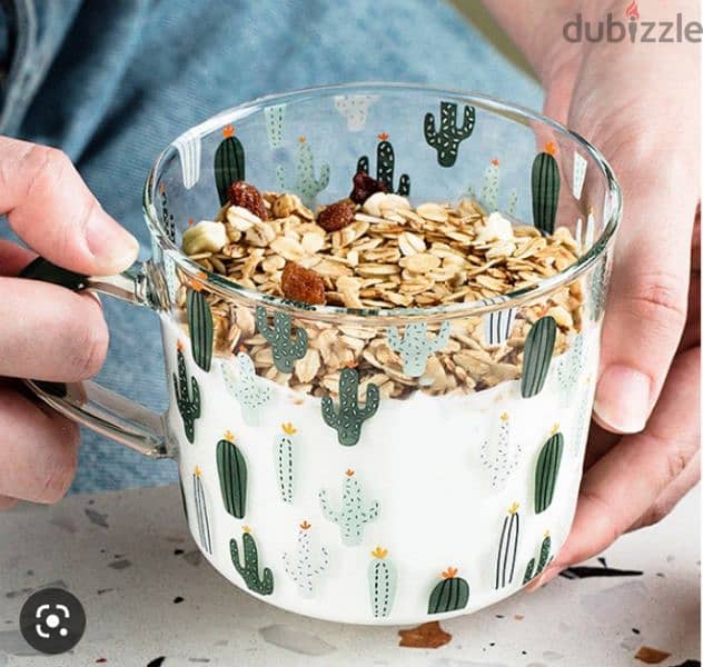 big size cactus pirex jug 0