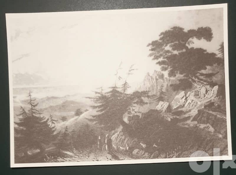 lebanon 1836-1846 set of 10 B&W postcards 9