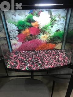 small aquarium in good condition 0