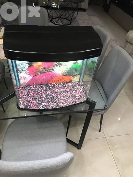 small aquarium in good condition 1