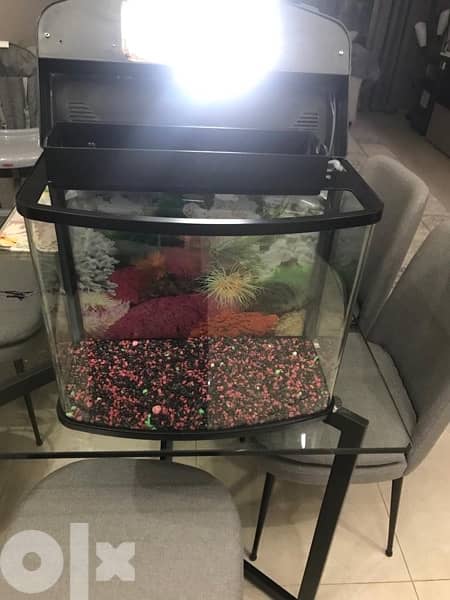 small aquarium in good condition 2