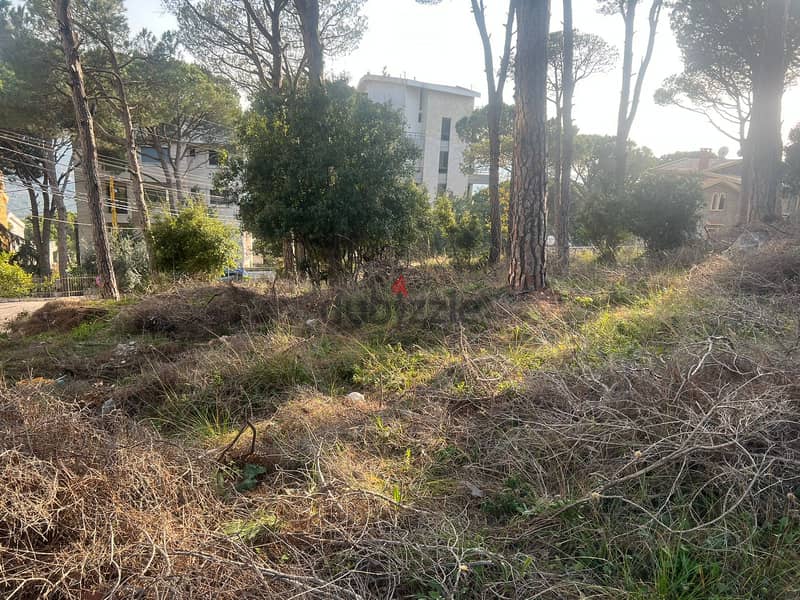 One of the unique lands in Broumana Oyoun! REF#ED90119 1