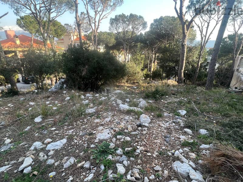 One of the unique lands in Broumana Oyoun! REF#ED90119 2