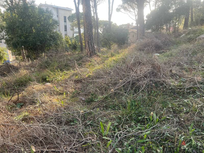 One of the unique lands in Broumana Oyoun! REF#ED90119 3