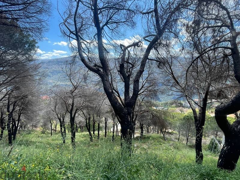 740 Sqm | Land For Sale In Beit Mery | Mountain View 1