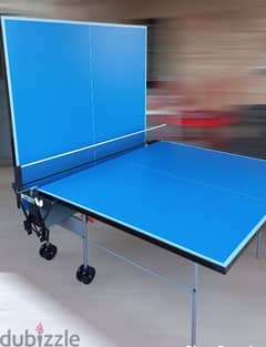 outdoor ping pong ( butterfly)