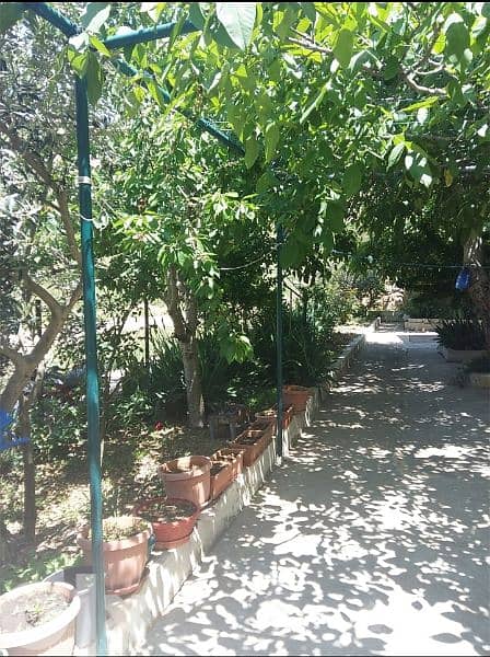 شقة للايجار طابق ارضي مع حديقة في بحمدون الضيعة 1