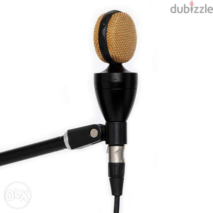 Stagg Condenser microphone 1