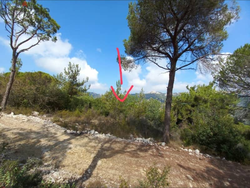 1000 Sqm | Prime location land For Sale In Kortada | Mountain View 0