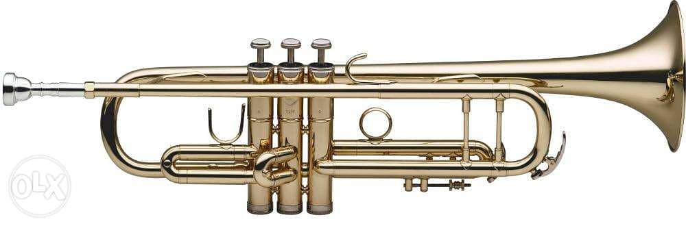Stagg Trumpet 0