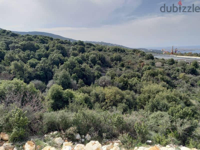 1,219m2 land + Sea view for sale in Kfar Aabida ارض في كفرعبيدا للبيع 2