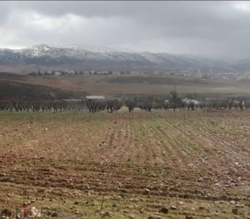 1500 Sqm | Land for Sale in Bekaa | Mountain view 2