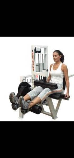 like new seated leg curl body system heavy duty 81701084 0