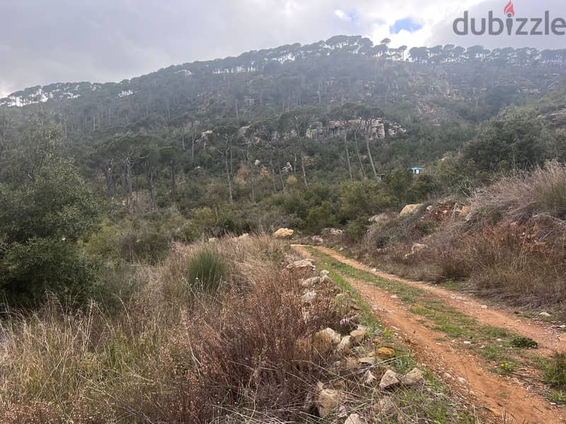 Land For Sale In Kaakour أرض للبيع في القعقور 3