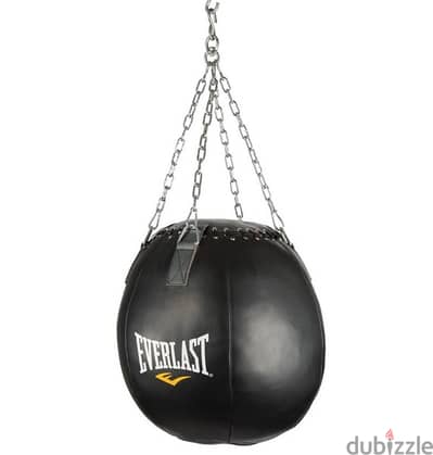 Wrecking Ball punching Bag