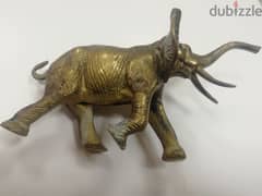 antique فيل