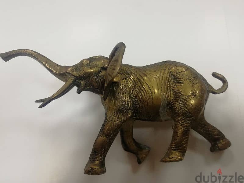 antique فيل 1