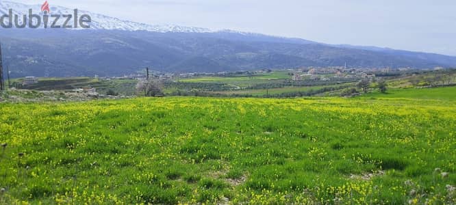 6000 Sqm | Land for Sale in Rashaya Kfarmashka