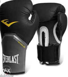 New Everlast Boxing Gloves ( original )