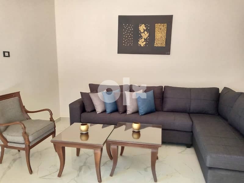 brand new fully furnished apartment 1