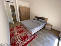 Delux fully furnished apartment 0