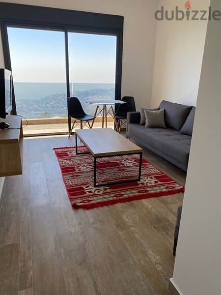 Delux fully furnished apartment 2