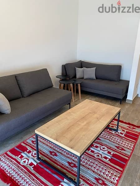 Delux fully furnished apartment 4