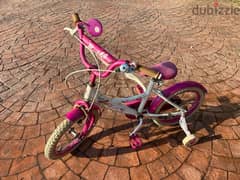 Bicycle 0