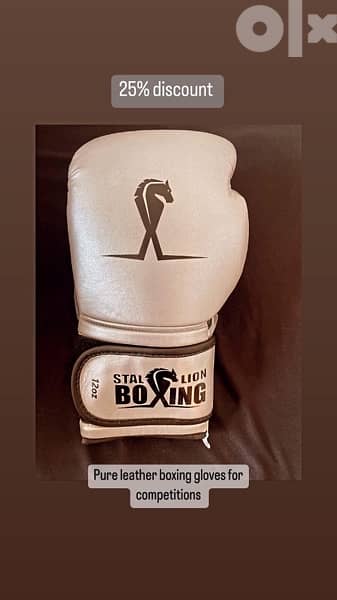 boxing gloves 3