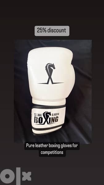 boxing gloves 6