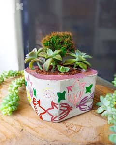 handmade concrete pot flowers