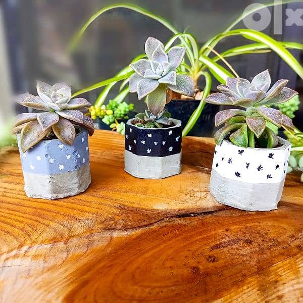 handmade concrete pot flowers 4