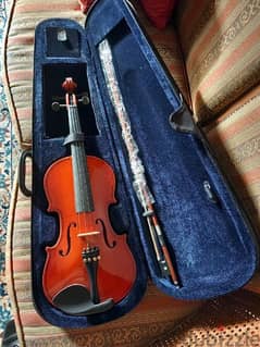 New "Aileen" Violin 4/4 complete 0