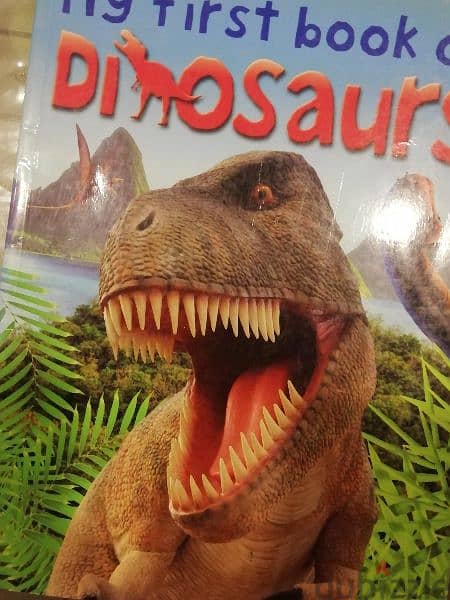 the first book of dinasours 0