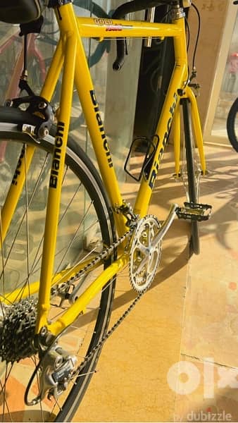 Classic Bianchi gold race 200  Made in italy  for more info 76/985889 4