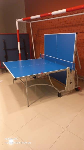 Ourex table tennis (outdoor) 0
