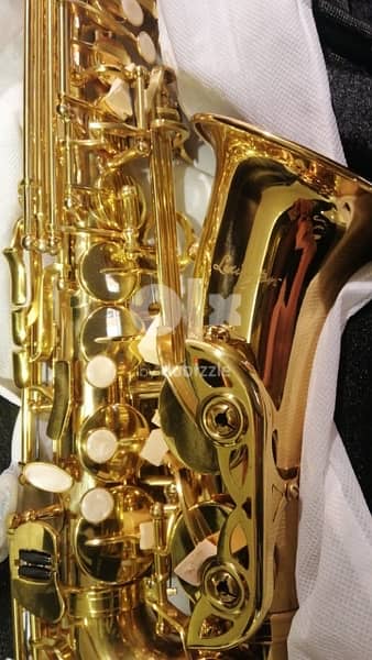 Lexingtone saxophone 1