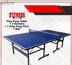 Ping Pong table 0