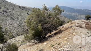 Land For Sale In Zaarour