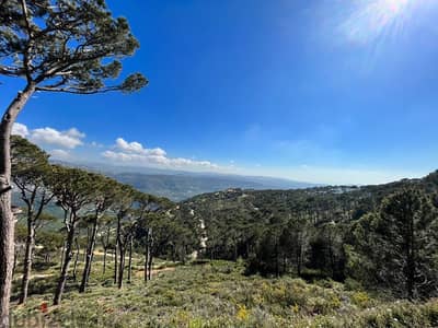 2545 Sqm | Land For Sale In Kaakour | Panoramic View