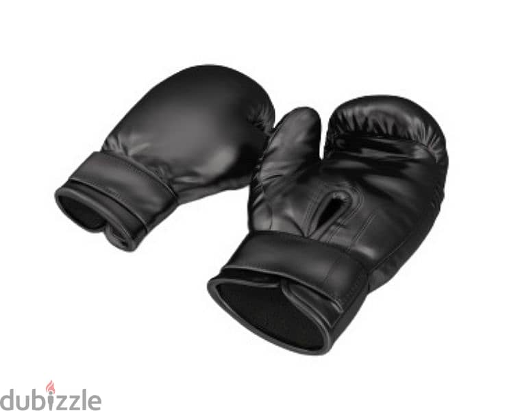 Set Of Classic Boxing Gloves 2 Pcs 1