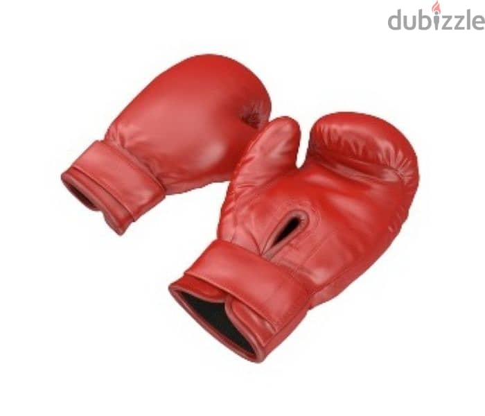 Set Of Classic Boxing Gloves 2 Pcs 2