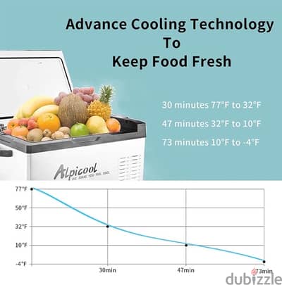 arpicool 12 v refrigerator