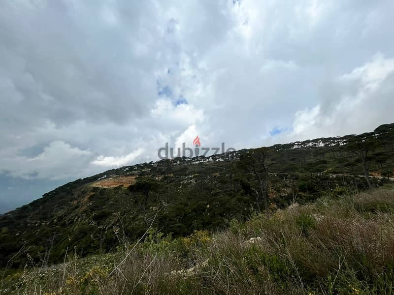 1550 Sqm | Land For Sale In Kaakour | Panoramic Mountain View 3