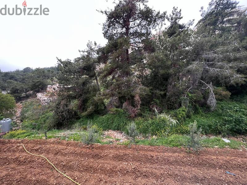 Beautiful land for sale in Douar, 800 sqm 12