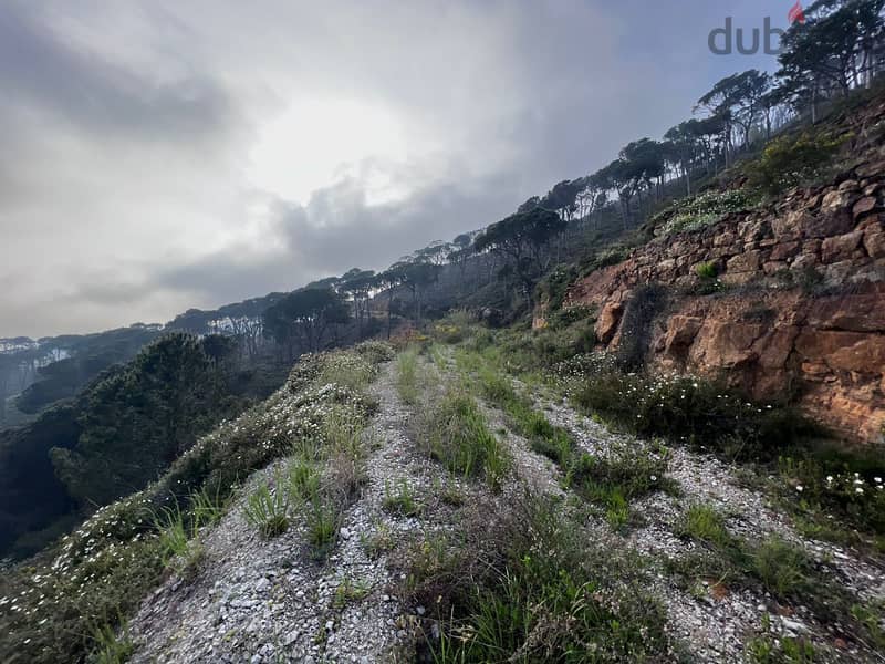 Land with panoramic view for sale in Kaakour أرض ذات إطلالة بانورامية 2