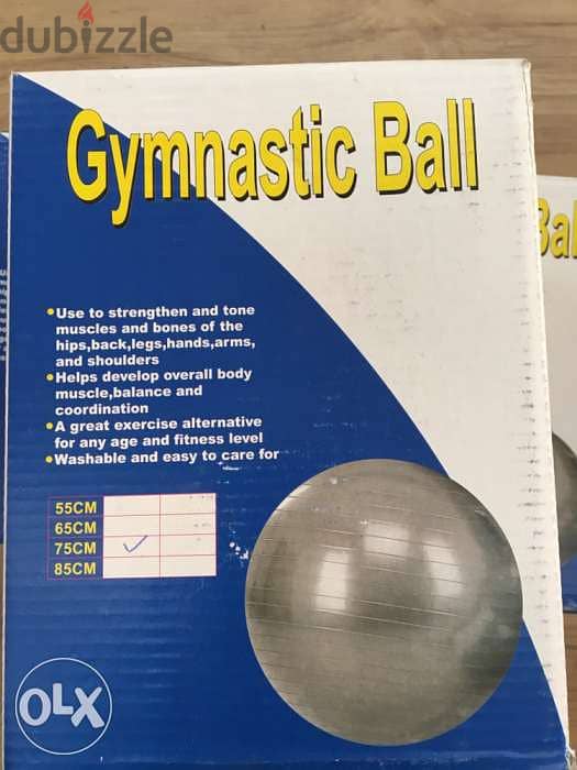 gymnastic ball 75 cm 3