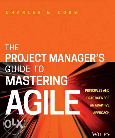 "EBOOK": The Project Manager's Guide to Mastering AGILE 0