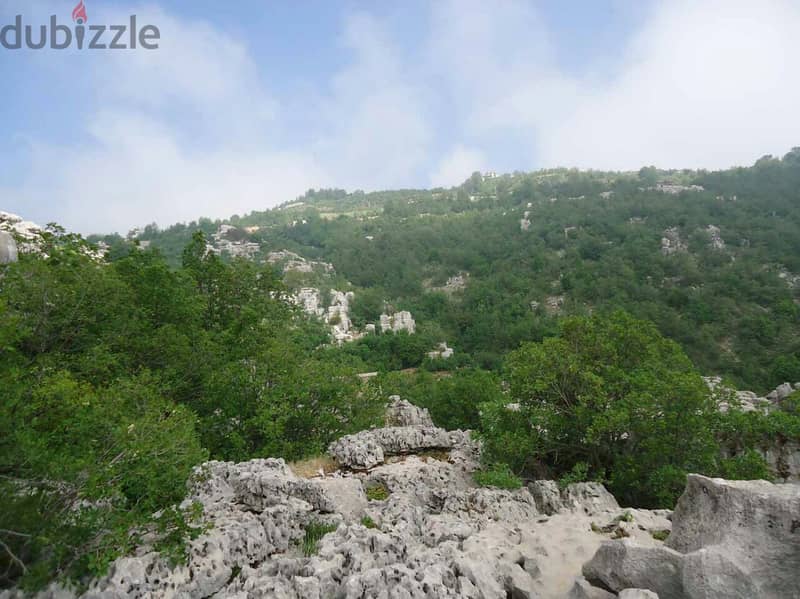 Plot with beatiful sea and mountain view for sale in kfardebian 6