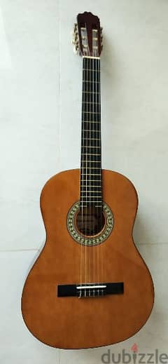 Guitar Karl Schneider 0